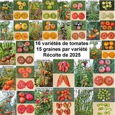 240 graines - 16 variétés de tomate (série 2)