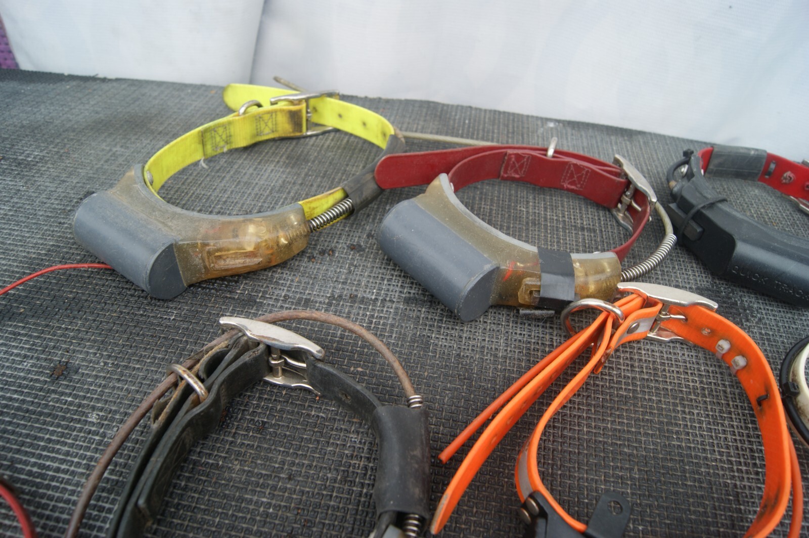 10 QUICK TRACK DOG HUNTING COLLARS