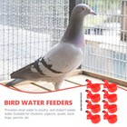 Bild 9 von 12