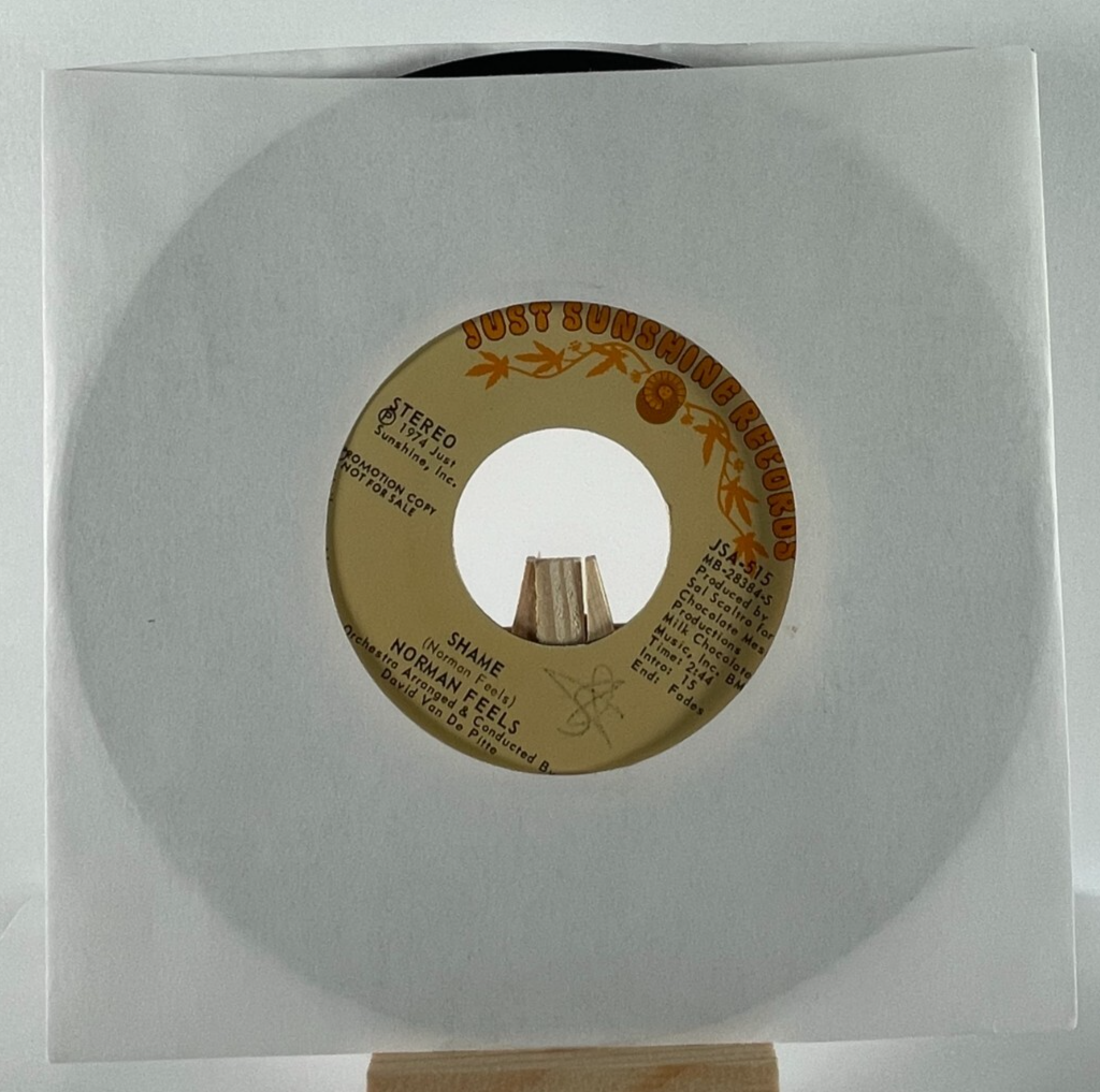 NORMAN FEELS 45 RPM SHAME TWO-SIDED PROMO—M- | eBay