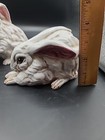 Picture 17 of 22