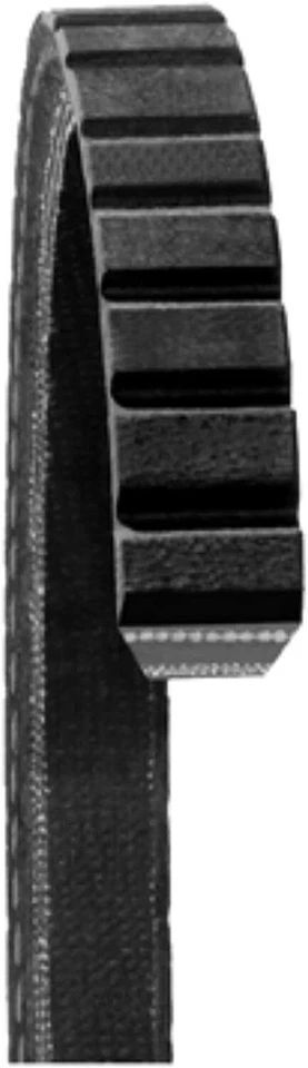 Accessory Drive Belt-GAS Dayco 17340 Foto 2 de 3