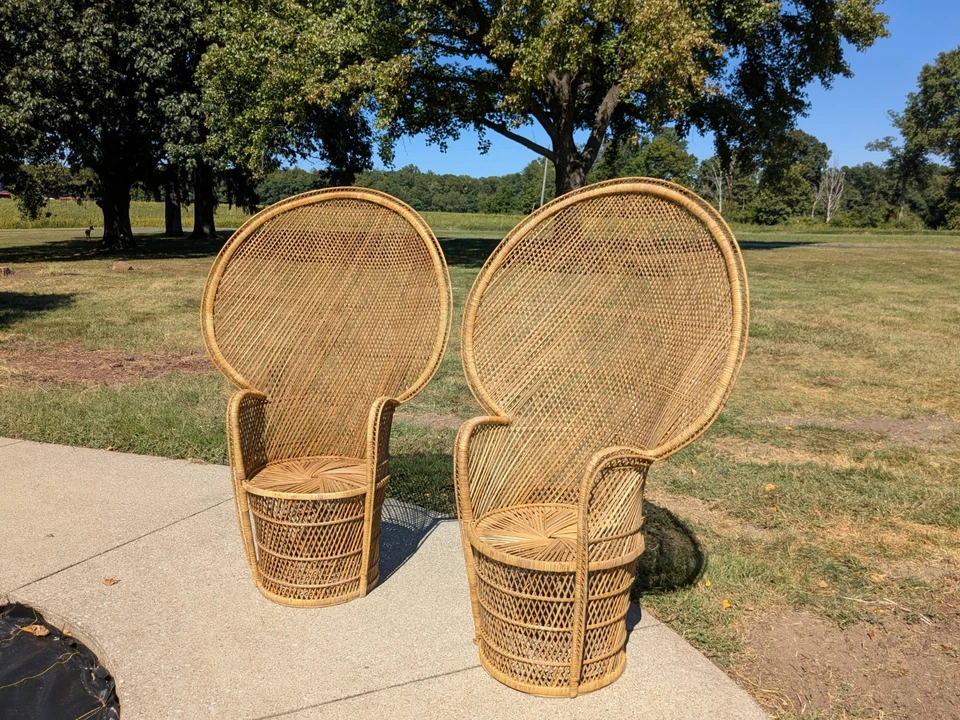 Sillas de pavo real de ratán 53" par de mesas de mimbre Emmanuel años 60 taburete juego de sillas para niños Foto 3 de 4