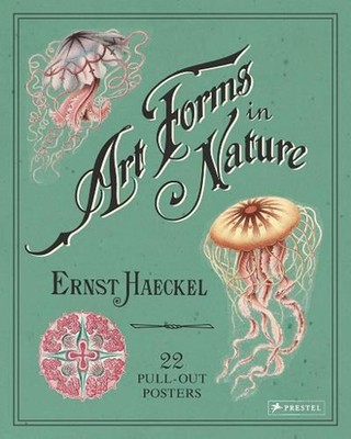 Ernst Haeckel: Art Forms in Nature: 22 Pull-Out Posters by ,Ernst Haeckel (Engli