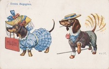 Vintage Dackel Dachshund Teckel. Dressed. Introduction. V.O.ST. Old Dog PC. 1908