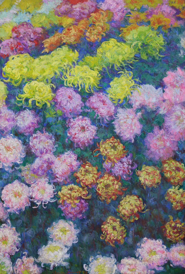 Massif de Chrysanthèmes | Claude Monet