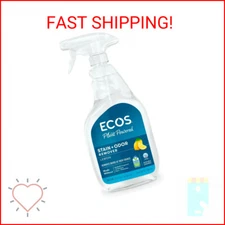 EARTH FRIENDLY STAIN & ODOR REMOVER,SPRY, 22 FZ