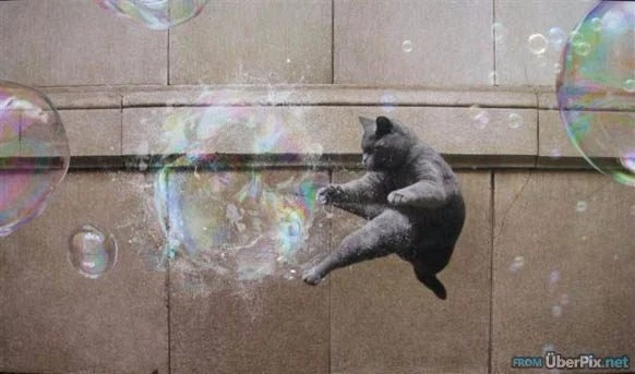 Burbujas de hierba gatera de jardín Multipet 5 oz* Foto 2 de 4