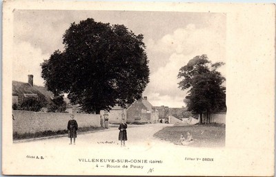 45 VILLENEUVE SUR CONIE - la route de Patay