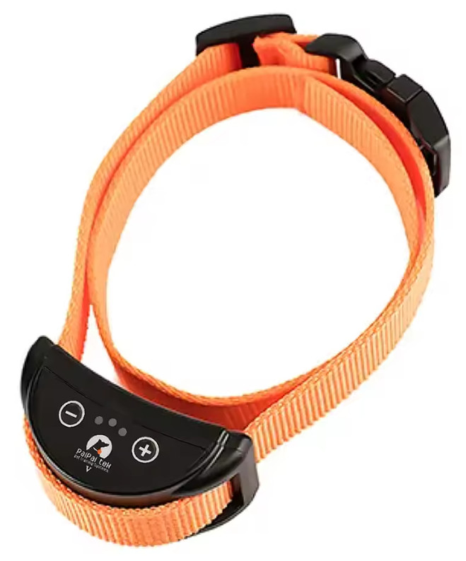 Collier anti-aboiement imperméable orange pour des balades sereines sous la pluie