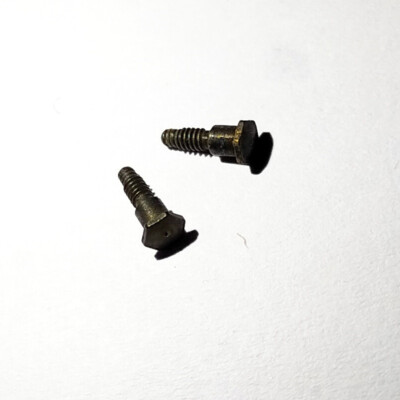 PAIR OF SCREWS THREADED BOLTS M1X5mm TRAIN LOCOMOTIVE ROCO 108221 XX