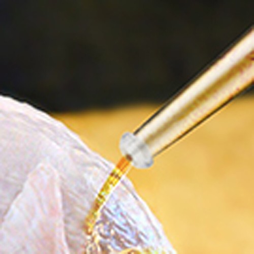 Turkey Baster with Barbecue Basting Brush for Home Baking Roaster Turkey Tool - Picture 7 of 17