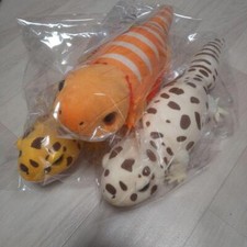 Leopard Gecko Kii-chan Plush doll Max & Futoago & Kii-chan Set of 3 H31cm