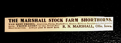 ORIGINAL 1918 Marshall Stock Farm Cattle Advertising - Cow - Ollie - Iowa