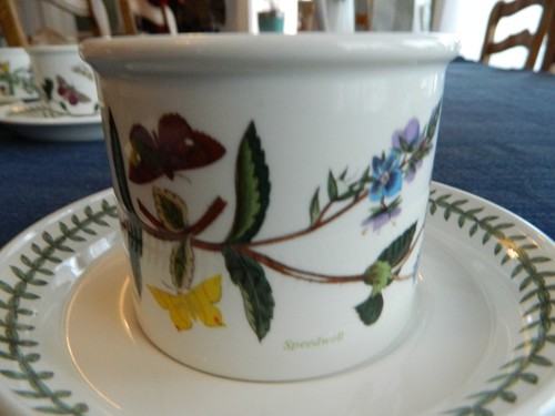 Portmeirion "The Botanic Garden" Teacup & Saucer 1972 England "Speedwell" 10-2 - 第 2/11 張圖片