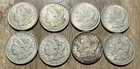 Lot of (8) 1921 (P) Morgan 90% Silver Dollars, Final Year Issue, XF/AU Coins