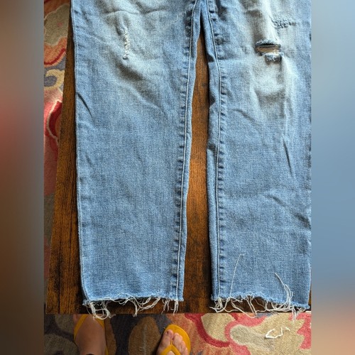 Pistola Jeans Plus Size Size 16W Distressed Raw Hem Boot Cut - Picture 13 of 15