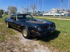1976 Pontiac Firebird for Sale