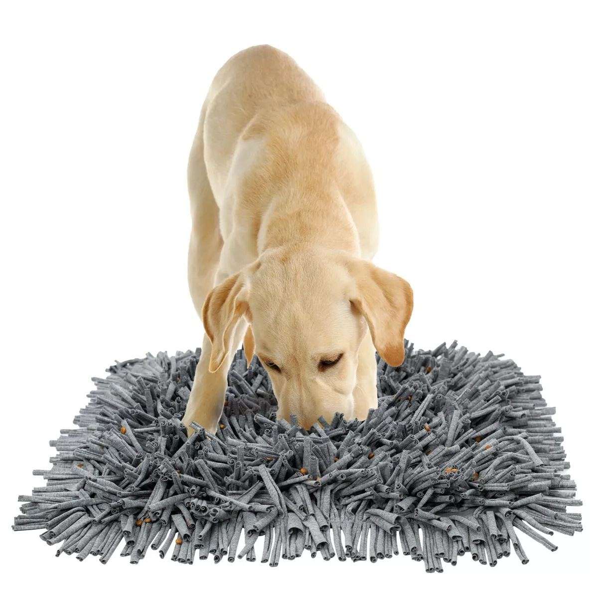 All For Paws Dog Snuffle & Nosework Training Feeding Mat with