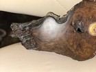 Rare Burl Walnut Base Pen Rest Holder Vintage Fresh From Estate Nice — photo 3