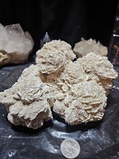 Esemplare di rosa del deserto di selenite forma naturale (3 libbre 10 once) #3 