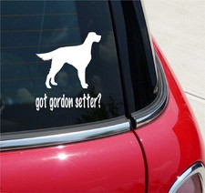GOT GORDON SETTER? SETTER DOG