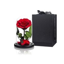 Preserved Roses Red Roses in Glass Dome, Medium, Preserved Flowers for Mother...