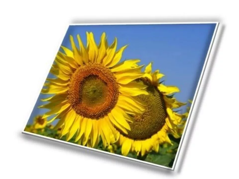 Imagen 4 de 4