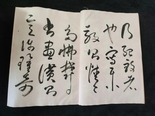Álbum de encuadernación de hilo de caligrafía escrita a mano de caligrafía de Liu Chunlin - Imagen 6 de 9