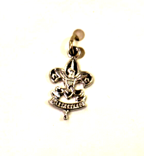 Vintage BSA Boy Scouts of America- Rank Charms 1970s-1980s - Picture 21 of 40