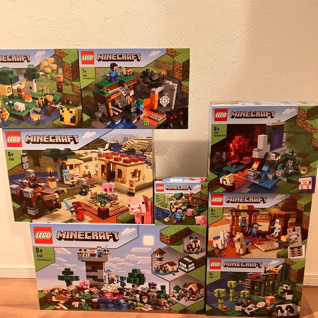 LEGO Minecraft 21158 21160 21161 21165 21166 21167 21172 21177 Set 
