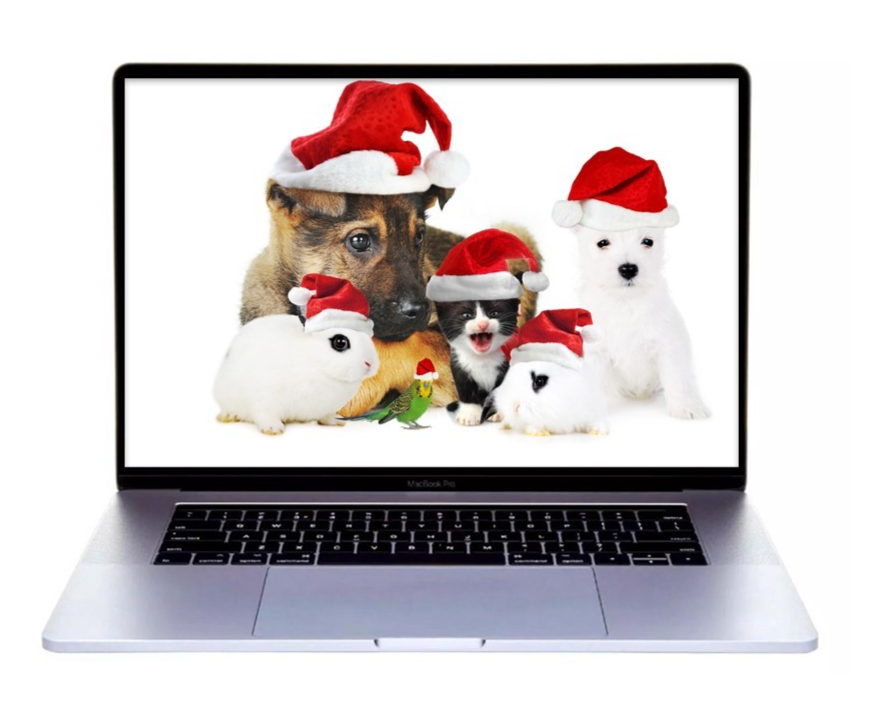 Apple MacBook Pro 16