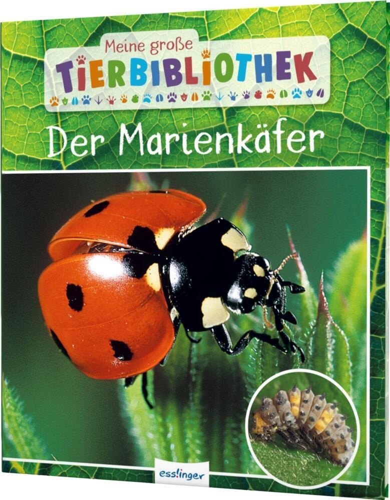 Valérie Tracqui ~ Meine große Tierbibliothek: Der Marienkäfer 9783480237470