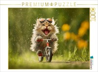 Puzzle Calvendo Un Motif Du Calendrier Miaou Avec Style | 1000 PièCes, Format As