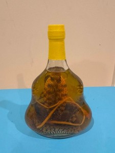 Real Cobra Snake and Scorpion in Glass Bottle 9 inch