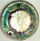 2004 Rainbow Toned Ch BU Silver Eagle Sea Green Rainbow Color Toned
