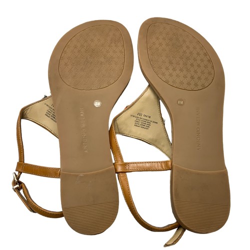 Antonio Mela Shoe 8M Bling Sandal T Stap Sling Back Ornamental Coral Women's - Bild 7 von 8