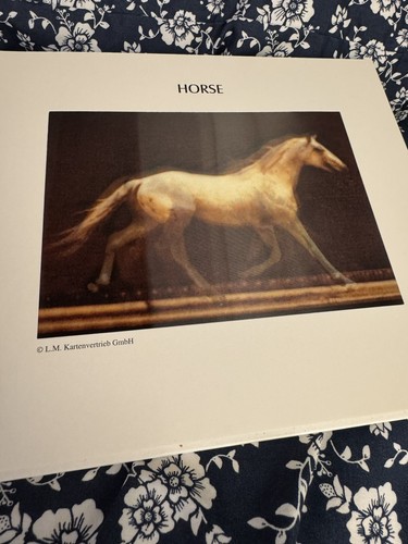 MUYBRIDGE AND HIS LIVING PICTURES 10 lenticular animated images HC Photography - Picture 6 of 16