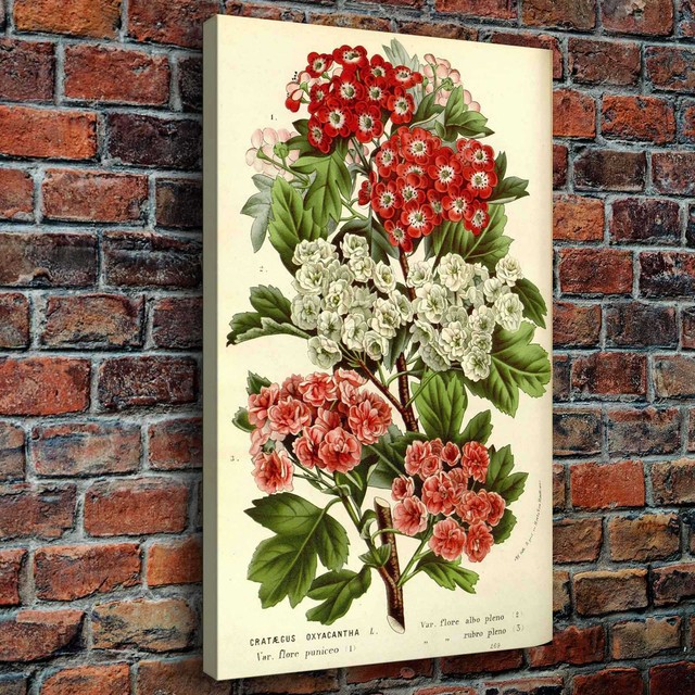 Flower Cluster HD Canvas prints Painting Home decor Picture Room Wall