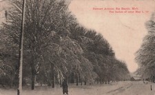 Big Rapids MI Michigan Stewart Ave Mecosta County Early 1900s Vtg Postcard E54