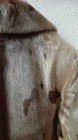 Bild 6 von 6