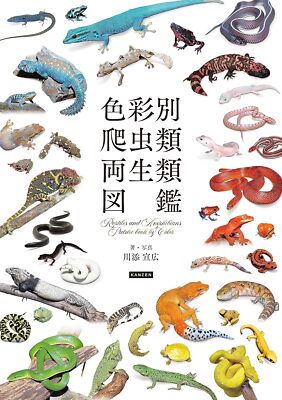 洋書　Reptiles & Amphibians 爬虫類、両生類 Reptiles & Amphibians Illustrated Book by Color Softcover from