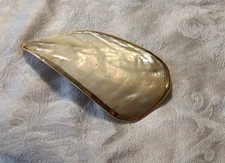 Vintage Mother Of Pearl Neckerchief/ Scarf Clip/ Buckle Abalone 5" Goldlined