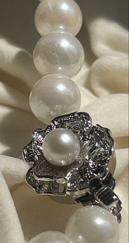 JAPANESE Akoya Pearl Necklace & Earrings Set 7.5–8.0mm White 40cm SILVER K14WG - Picture 11 of 24