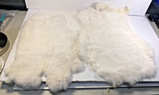 Lot of 2 Tanned White Southwest Fur Animal Pelts