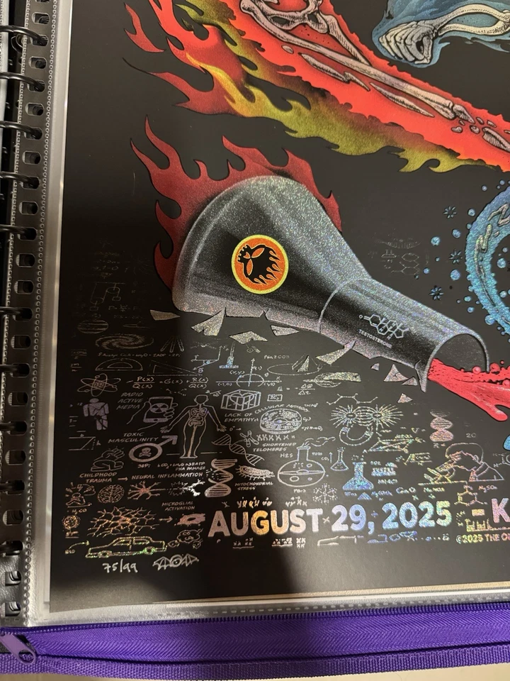 Emek Gans The Offspring AE Poster Foil KIA Forum 8/29/25 Inglewood - Image 2 of 4