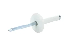 Allstar Performance 18031 Lg Hd Rivet White 250pk