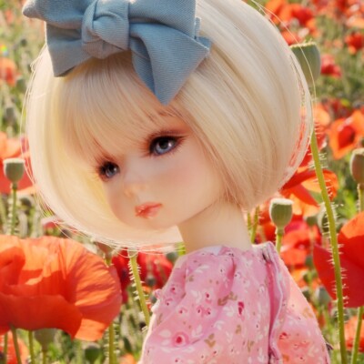 DOLLMORE  Mona Doll - Florelune Mong-a - LE10(face-up included, Full Set)