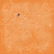 Orange Web - Halloween scrapbook paper - Karen Foster Design - 60491
