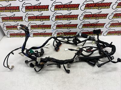   Suzuki Dl 250 V-Strom Al8 2017 - 2021 Hauptkabelbaum Kabelbaum  